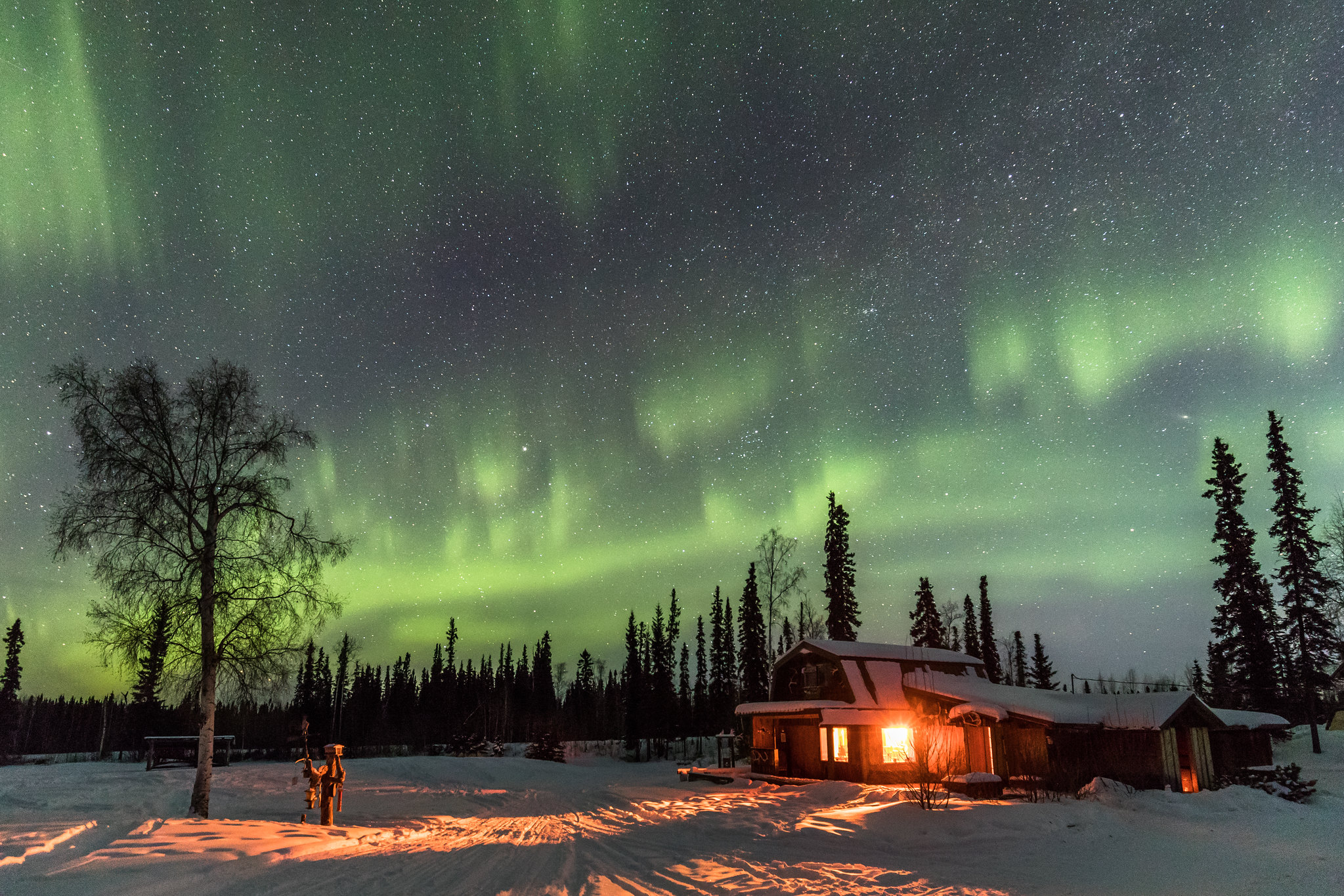 How to Photograph the Northern Lights | Camera Settings & Tips